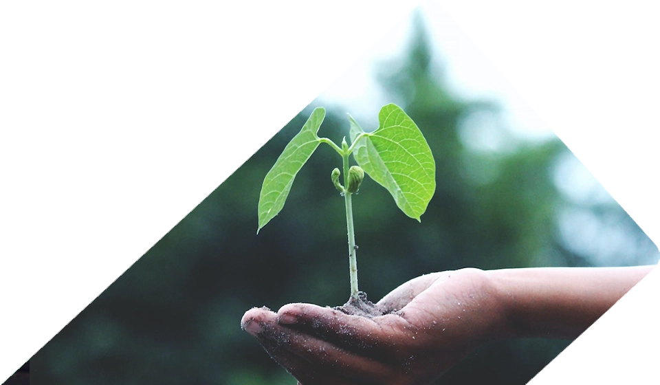 https://tom-henryintltd.com/wp-content/uploads/2022/11/apm-environment-1.webp